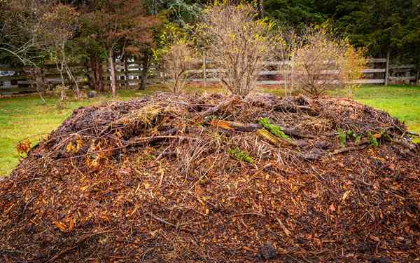 7 cosas que debe saber sobre Hugelkultur Gardening