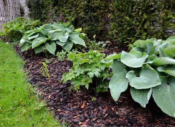 Dale un impulso a tu jardín con esta guía para las enmiendas del suelo