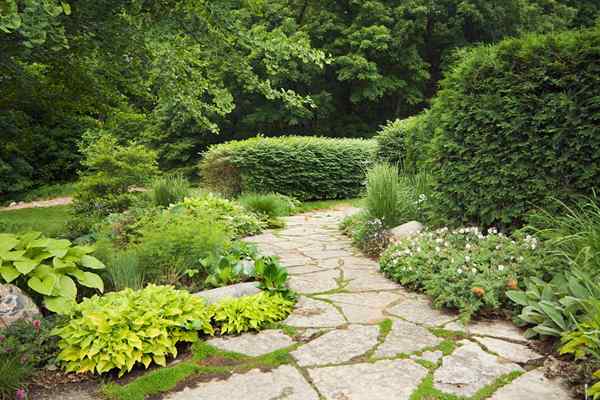 Comment poser un chemin de jardin en pierre