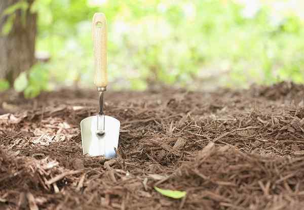 Wie man Mulch von Grund auf neu macht