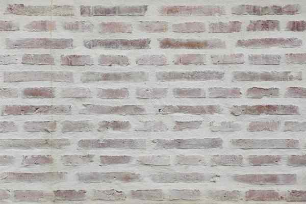 Cara Whitewash Brick