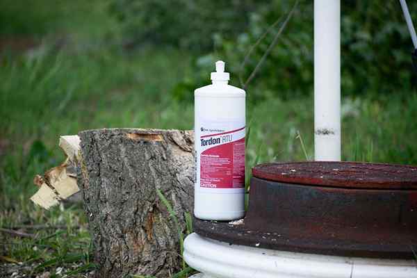 J'ai utilisé cet herbicide de contrôle des arbres pour tuer un moignon?