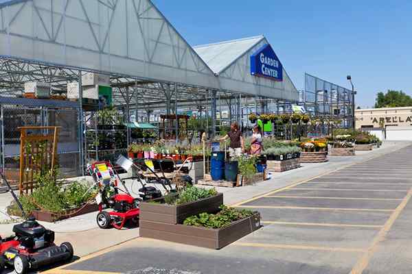 Lowe's está regalando kits de jardín gratis durante todo el mes de largo para enganchar uno para su hogar