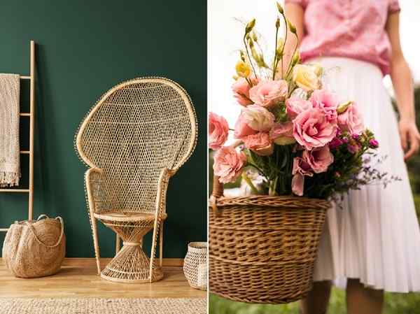 Rattan vs. Vime qual é a diferença?