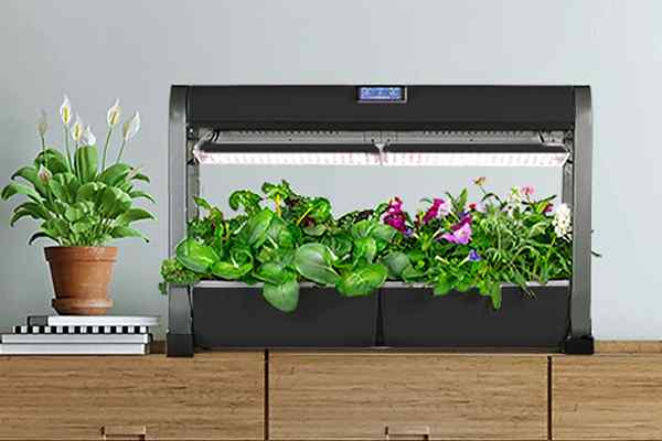 El mejor aerogarden para traer su jardín en el interior