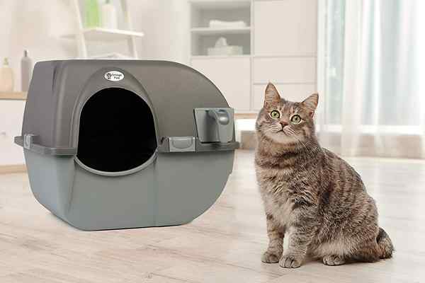 Die beste automatische Katzentoilette für mühelose Reinigung