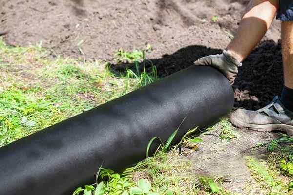 Der beste schwarze Mulch für Ihre Landschaftsbaubedürfnisse