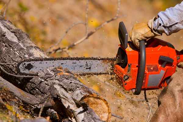 Las mejores cadenas de motosierras para los propietarios de viviendas de bricolaje