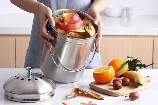 Les meilleurs poubelles de compost de comptoir pour votre maison