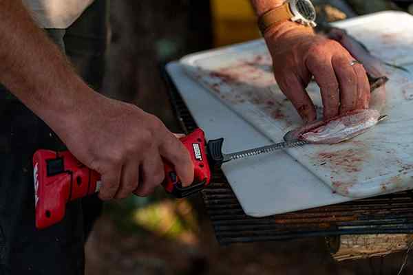 Pisau fillet listrik terbaik untuk persiapan makanan cepat dan mudah