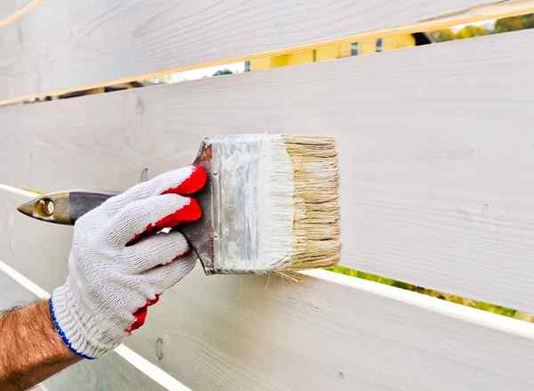 As melhores tintas para sua casa