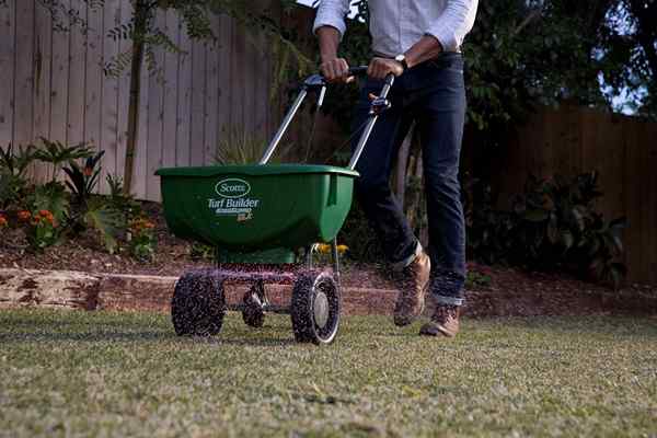 Os melhores fertilizantes para a grama de centopéia para garantir um gramado saudável