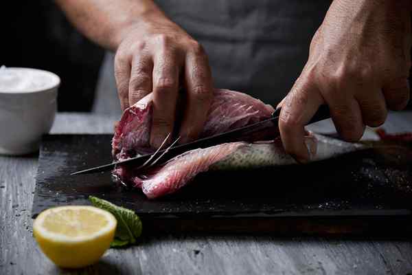 El mejor cuchillo de filete para preparar su carne o mariscos