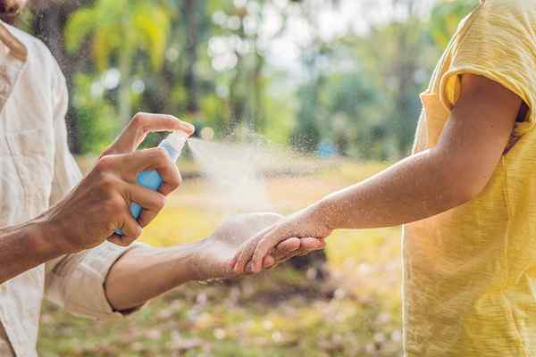 Os melhores repelentes de mosca para apreciar seu espaço ao ar livre sem pragas