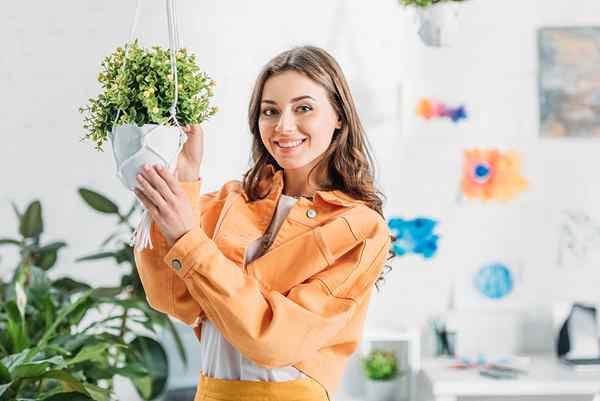 Os melhores plantadores pendurados para dentro de casa e fora