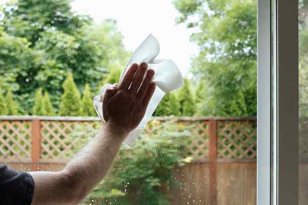 Las mejores toallas de papel para limpiar tus desorden