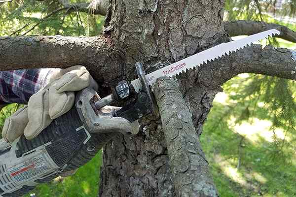 As melhores lâminas Sawzall para corte nítido