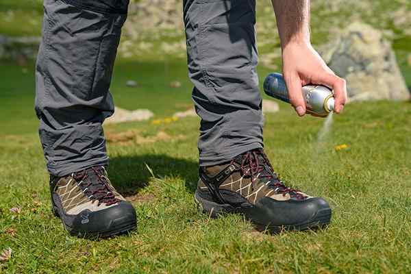 Le meilleur protecteur de chaussures pulvérise pour garder vos chaussures