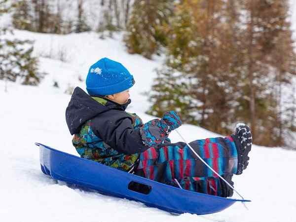 Os melhores trenós para dias de neve