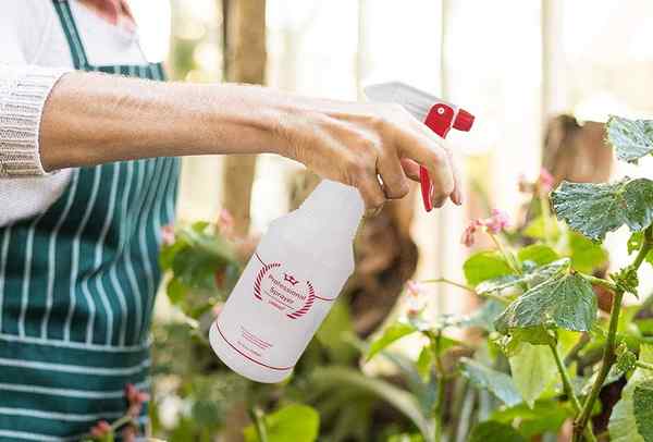 Las mejores botellas de pulverización para agua, limpiadores y más