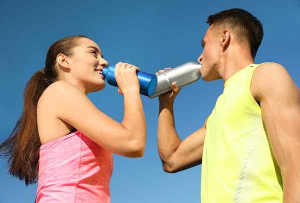 Las mejores botellas de agua de acero inoxidable para sus bebidas para llevar