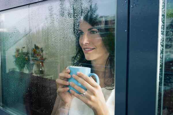 Die besten Sturmfenster für zusätzliche Isolierung