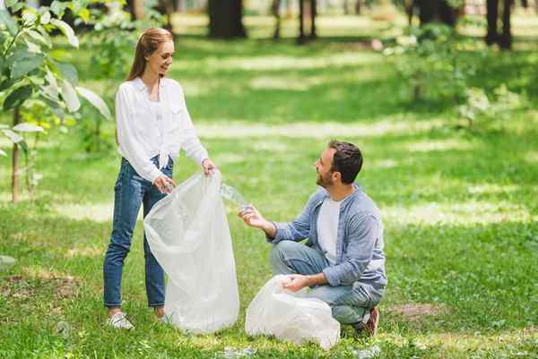 Les meilleurs sacs poubelles pour vos besoins d'élimination des déchets