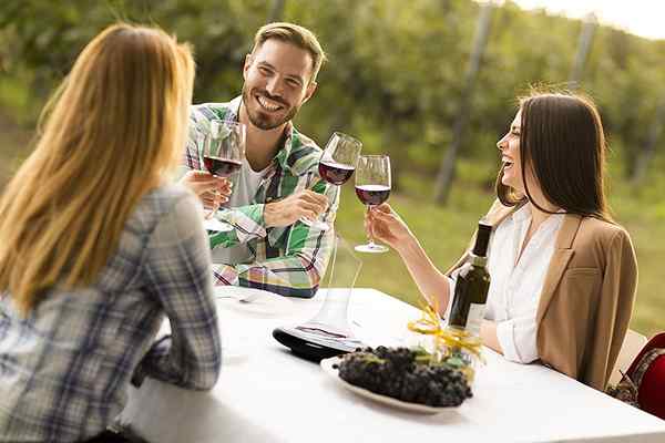 Die besten Weinentkanter für Ihre Heimat Bar