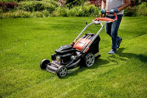 Najnowsze oferty Prime Day Lawn i Garden z 2023 najlepszych ofert na Worx, Greenworks, Black & Decker i inne