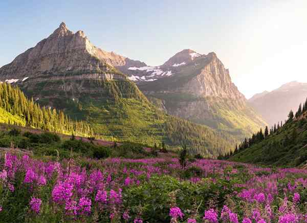 Diese erdigen Farbpaletten sind ebenso atemberaubend wie die Nationalparks, die sie inspirierten