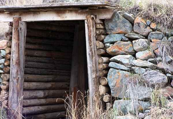 Les propriétaires d'aujourd'hui redécouvrent les avantages d'une cave à racines