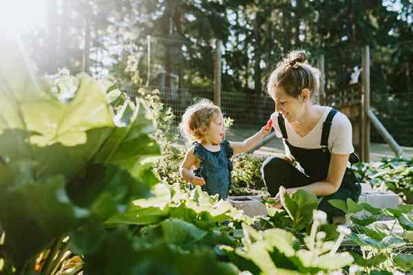 10 productos geniales de Gardener's Supply Company para comprar para su pulgar verde favorito