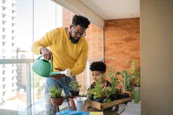 11 americanos negros que mudaram a maneira como jardinamos