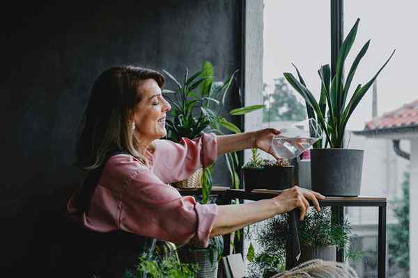 14 idées d'étagère de plante pour animer tout espace vierge dans votre maison