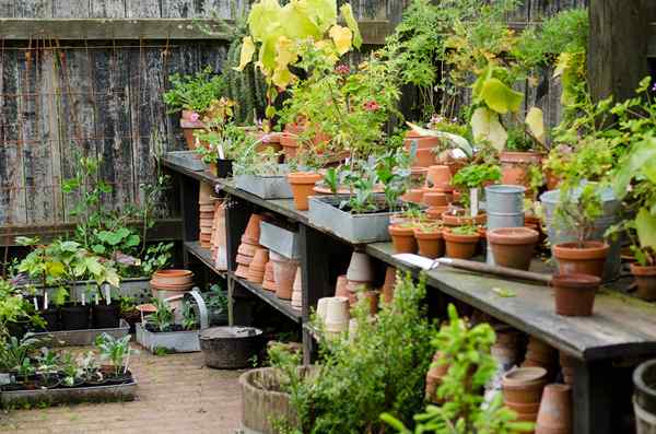 14 Planos de bancada de envasamento para construir seu espaço ideal para preparação de jardim