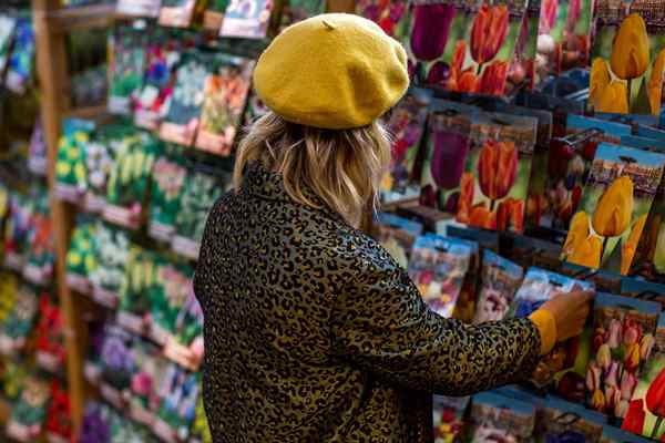 3 errores para evitar cuando las compras de semillas este año