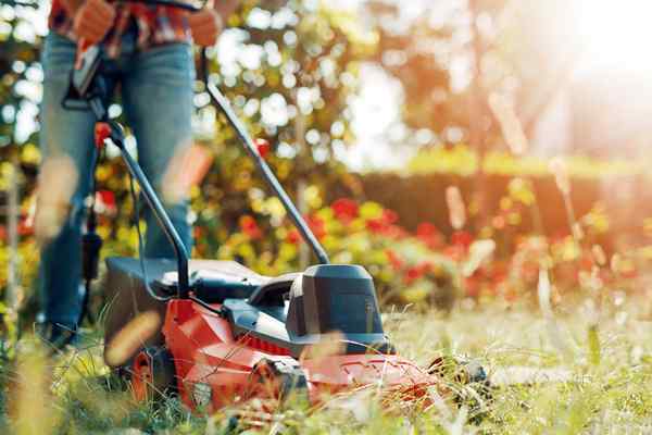 5 buenas razones para no cortar el césped este fin de semana