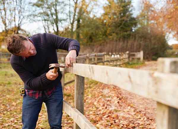 7 cosas importantes para saber sobre la reparación de la cerca