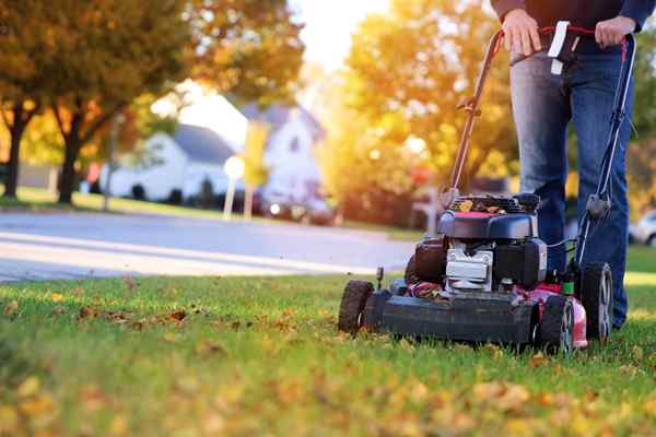 9 choses importantes à retenir lors de l'hivernage de votre tondeuse à gazon