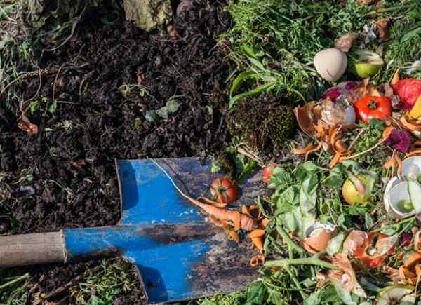 Kompostierung 101 Wie man Küche und Gartenabfälle in Ihren Garten einsetzt