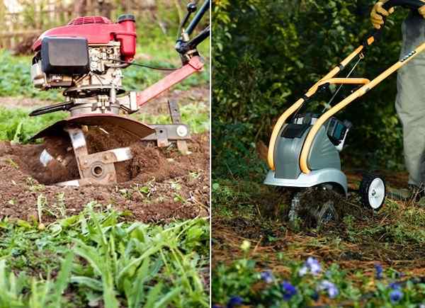 Cultivador vs. Tiller que es mejor para su suelo?