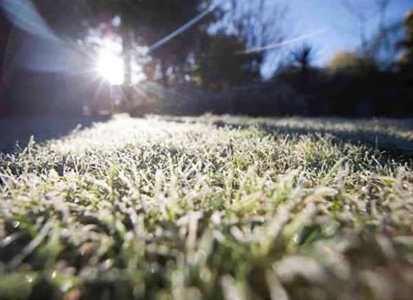 Frost -Linien -Tiefe 5 wichtige Dinge, die alle Hausbesitzer wissen sollten