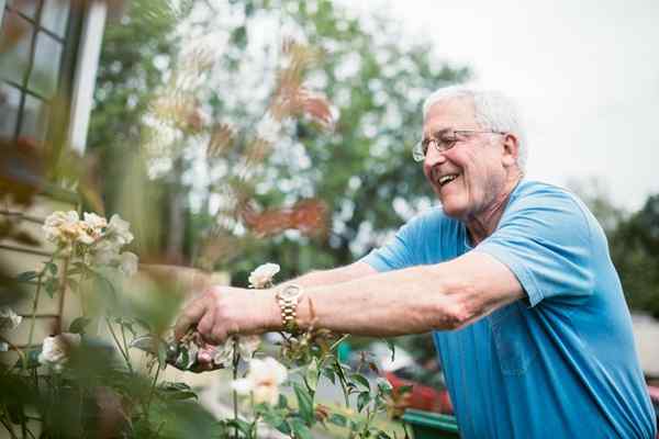 Jardinagem no lugar como cultivar uma colheita abundante quando você tem mobilidade limitada