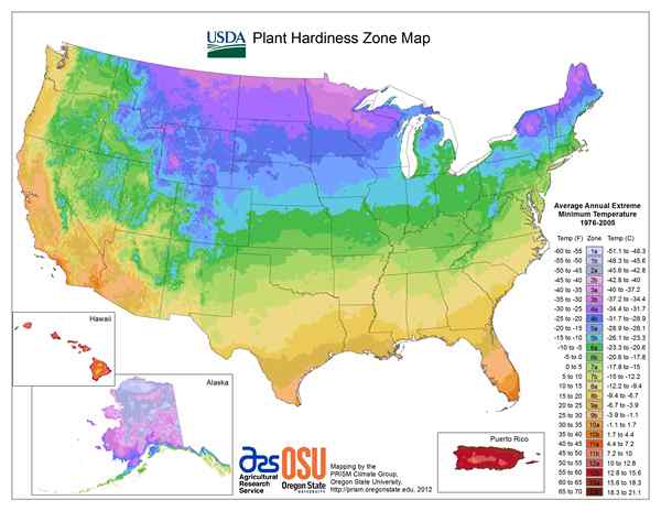 Zones de rusticité 101 Ce que tous les jardiniers de maison doivent savoir