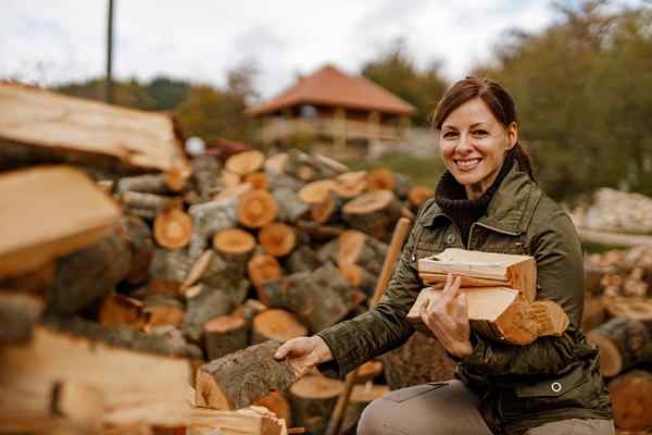 Voici pourquoi vous ne devriez pas apporter votre propre bois de chauffage lors de votre prochain voyage de camping