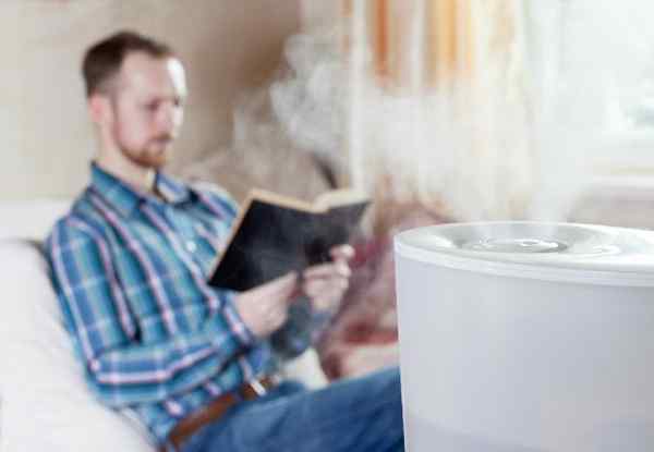 Cara membersihkan humidifier