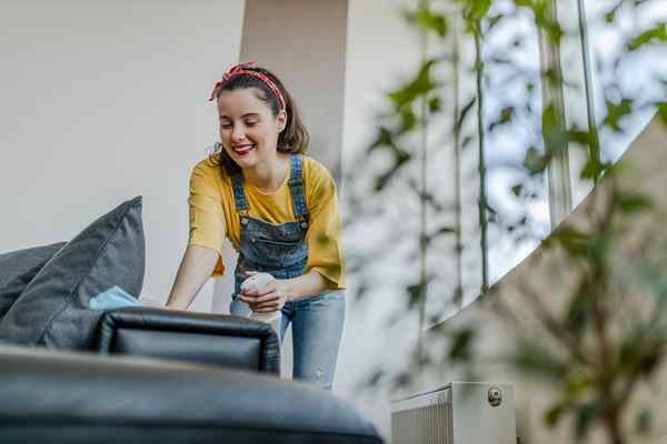 Cómo limpiar los muebles de cuero