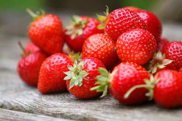 Comment faire pousser des fraises