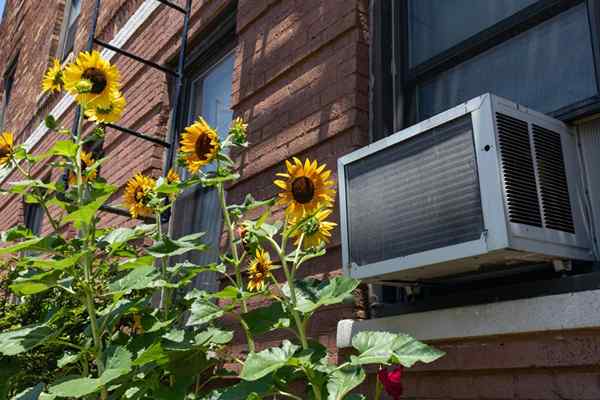 Cómo instalar un aire acondicionado de ventana