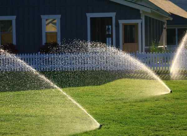 So ersetzen Sie einen Sprinklerkopf auf einem Sprinklersystem im Boden